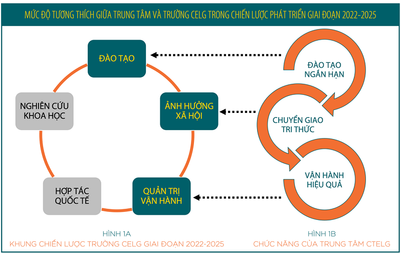 cá cược thể thao hul city